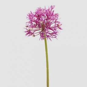 ALLIUM BRANCH - 61cm